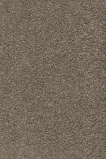 Ковролин AW Vivendi Punch 37 фото 1 | FLOORDEALER